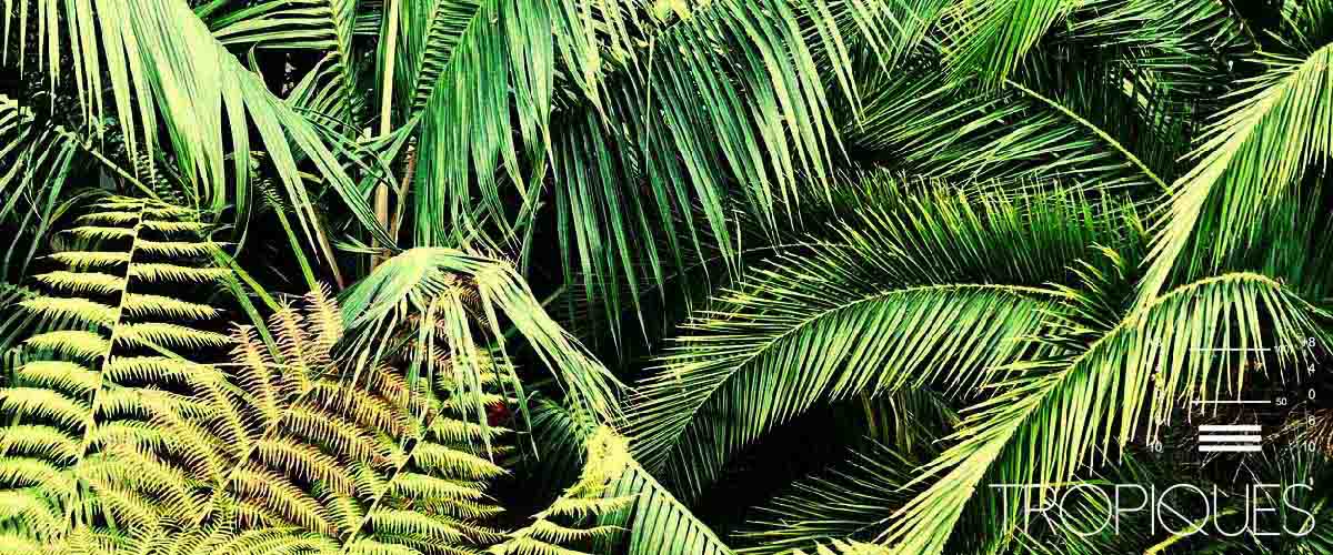 Carousel%2Btitres_0012_Groupe%2015