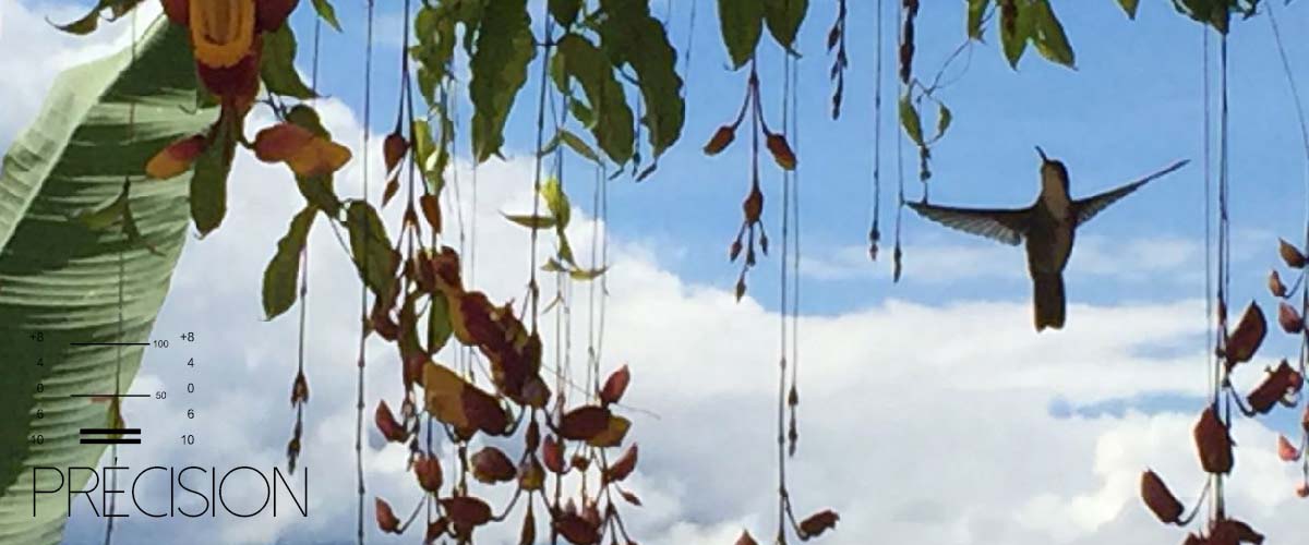 Carousel%2Btitres_0029_Groupe%2032