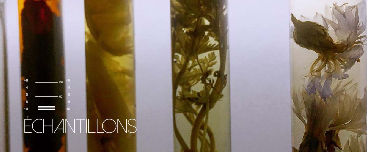 Carousel%2Btitres_0051_Groupe%2055